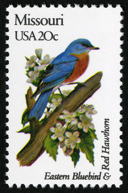 Missouri - Comb Perf United States Postage Stamp | State Birds and Flowers