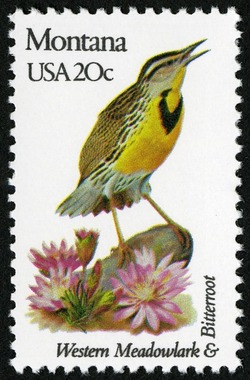 Montana - Comb Perf United States Postage Stamp | State Birds and Flowers
