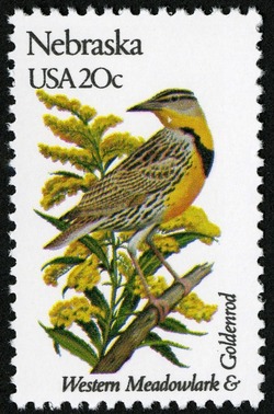 Nebraska - Comb Perf United States Postage Stamp | State Birds and Flowers