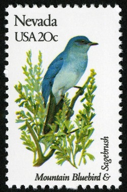 Nevada - Comb Perf United States Postage Stamp | State Birds and Flowers