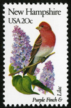 New Hampshire - Comb Perf United States Postage Stamp | State Birds and Flowers