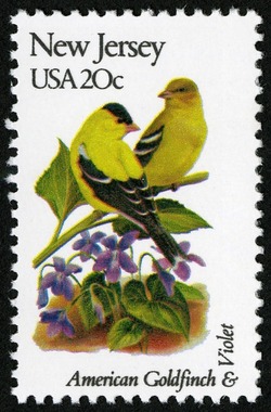 New Jersey - Comb Perf United States Postage Stamp | State Birds and Flowers