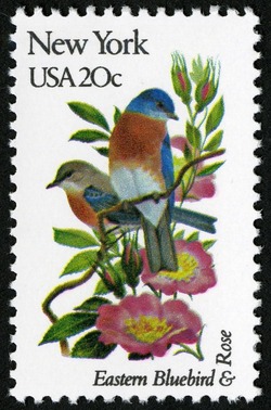 New York - Comb Perf United States Postage Stamp | State Birds and Flowers