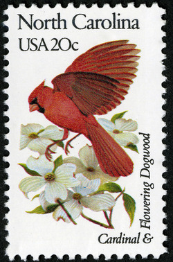 North Carolina - Line Perf United States Postage Stamp | State Birds and Flowers