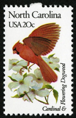 North Carolina - Comb Perf United States Postage Stamp | State Birds and Flowers