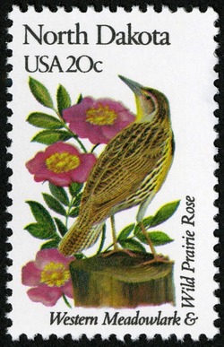 North Dakota - Comb Perf United States Postage Stamp | State Birds and Flowers