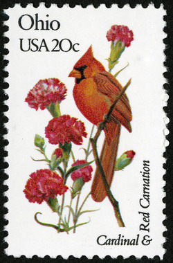 Ohio - Line Perf United States Postage Stamp | State Birds and Flowers