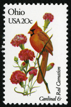 Ohio - Comb Perf United States Postage Stamp | State Birds and Flowers