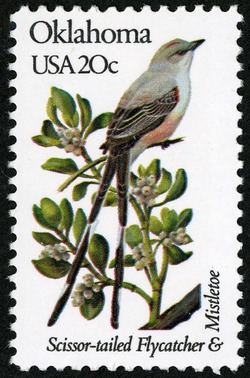 Oklahoma - Line Perf United States Postage Stamp | State Birds and Flowers