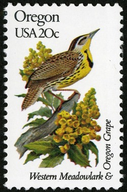 Oregon - Line Perf United States Postage Stamp | State Birds and Flowers