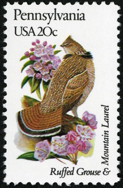 Pennsylvania - Line Perf United States Postage Stamp | State Birds and Flowers