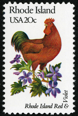 Rhode Island - Line Perf United States Postage Stamp | State Birds and Flowers
