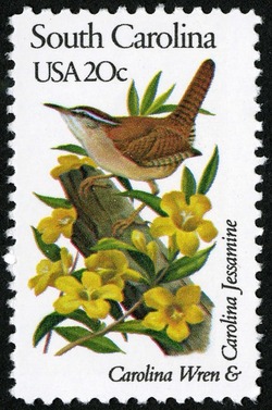 South Carolina - Line Perf United States Postage Stamp | State Birds and Flowers
