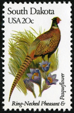 South Dakota - Comb Perf United States Postage Stamp | State Birds and Flowers