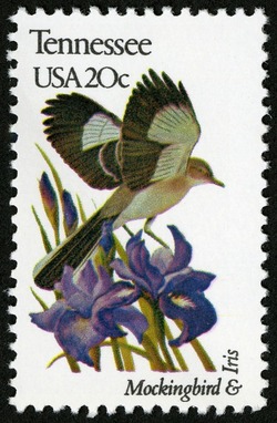 Tennessee - Comb Perf United States Postage Stamp | State Birds and Flowers