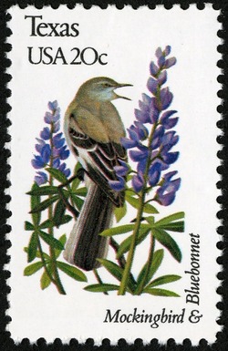 Texas - Line Perf United States Postage Stamp | State Birds and Flowers