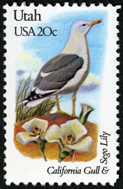 Utah - Line Perf United States Postage Stamp | State Birds and Flowers