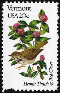 Vermont - Line Perf United States Postage Stamp | State Birds and Flowers