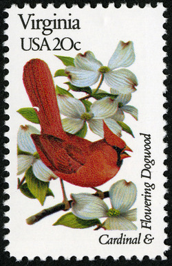 Virginia - Line Perf United States Postage Stamp | State Birds and Flowers