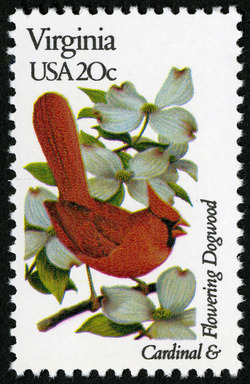 Virginia - Comb Perf United States Postage Stamp | State Birds and Flowers