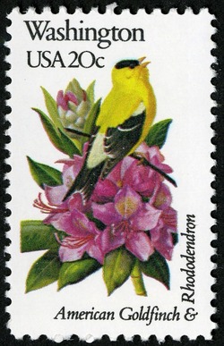 Washington - Line Perf United States Postage Stamp | State Birds and Flowers