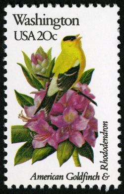 Washington - Comb Perf United States Postage Stamp | State Birds and Flowers