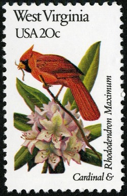 West Virginia - Line Perf United States Postage Stamp | State Birds and Flowers