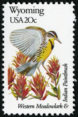 Wyoming - Line Perf United States Postage Stamp | State Birds and Flowers