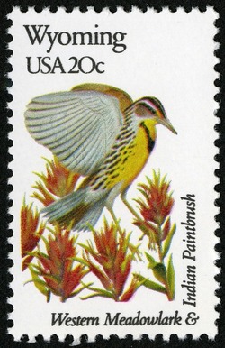 Wyoming - Comb Perf United States Postage Stamp | State Birds and Flowers