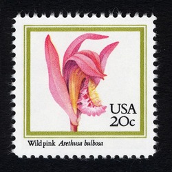 Wild Pink United States Postage Stamp | Orchids