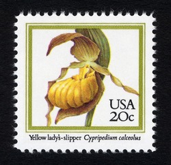 Yellow Lady's-slipper United States Postage Stamp | Orchids