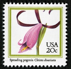 Spreading Pogonia United States Postage Stamp | Orchids
