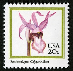 Pacific Calypso United States Postage Stamp | Orchids