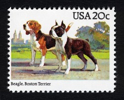 Beagle - Boston Terrier United States Postage Stamp | Dogs