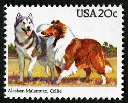 Alaskan Malamute - Collie United States Postage Stamp | Dogs