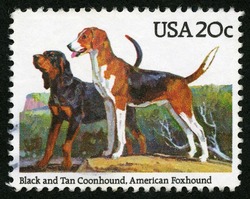 Black and Tan Coonhound - American Foxhound United States Postage Stamp | Dogs