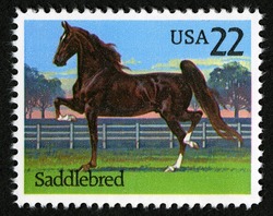 Saddlebred Horse United States Postage Stamp | Horses