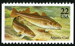 Atlantic Cod United States Postage Stamp | Fish