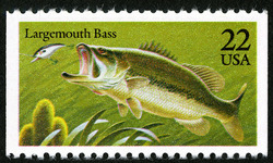 Largemouth Bass United States Postage Stamp | Fish
