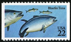 Bluefin Tuna United States Postage Stamp | Fish