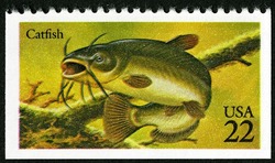 Catfish United States Postage Stamp | Fish