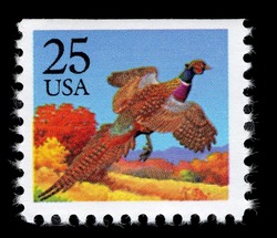 Pheasant United States Postage Stamp
