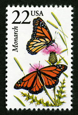 Monarch Butterfly United States Postage Stamp | North American Wildlife