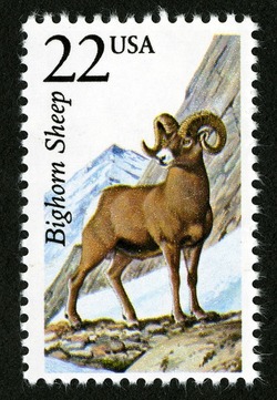 Bighorn Sheep United States Postage Stamp | North American Wildlife