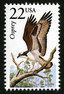 Osprey United States Postage Stamp | North American Wildlife