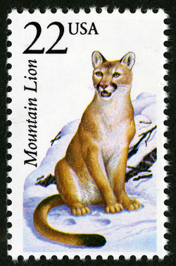 Mountain Lion United States Postage Stamp | North American Wildlife