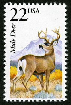 Mule Deer United States Postage Stamp | North American Wildlife