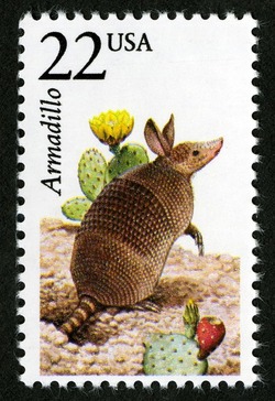 Armadillo United States Postage Stamp | North American Wildlife