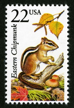 Eastern Chipmunk United States Postage Stamp | North American Wildlife