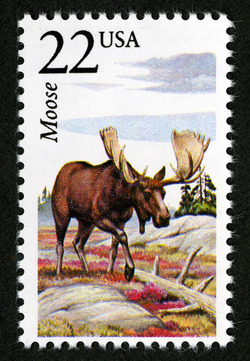 Moose United States Postage Stamp | North American Wildlife